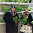 בפרוייקט משותף, הכשירו ארגון העובדים מען וסינדיאנת הגליל בראשית השנה קבוצת נשים נשים מבאקה אל-גרביה לגדל צמחים בשיטה ההידרופונית. גידול ירקות ביתי ואקולוגי גם תורם לפרנסת הבית, גם תורם לסביבה […]